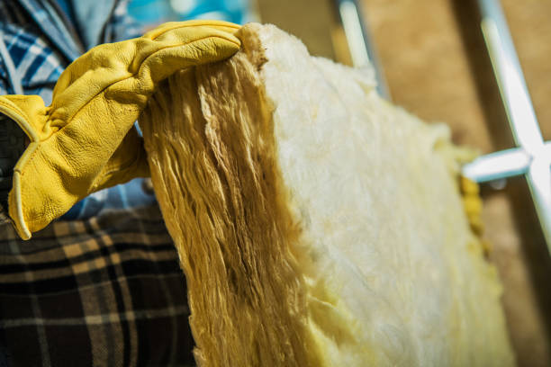Best Insulation for Specific Applications in Sale Creek, TN