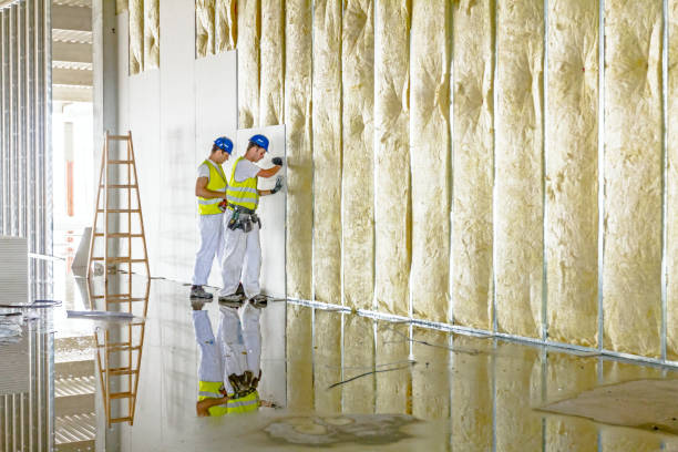 Best Types of Insulation in Sale Creek, TN